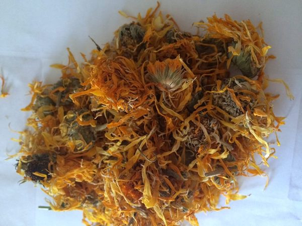 Dried Calendula Flowers