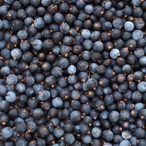 Dried Junipr Berries